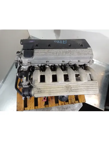 256T1