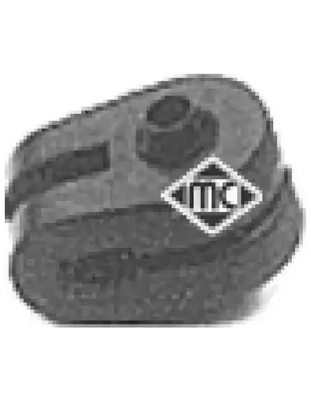 Soporte Escape Laguna-Safrane