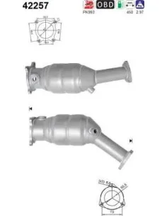 Kit Capuchon+Tope Amortigu