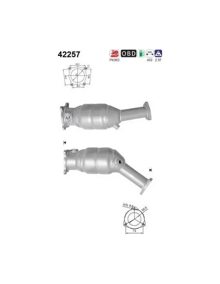 Kit Capuchon+Tope Amortigu