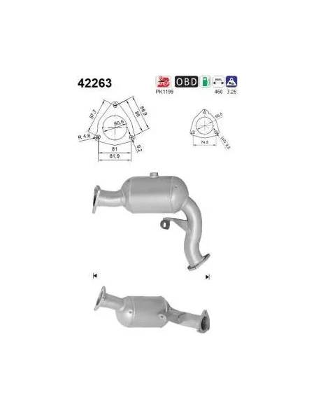 Kit Capuchon+Tope Amortigu