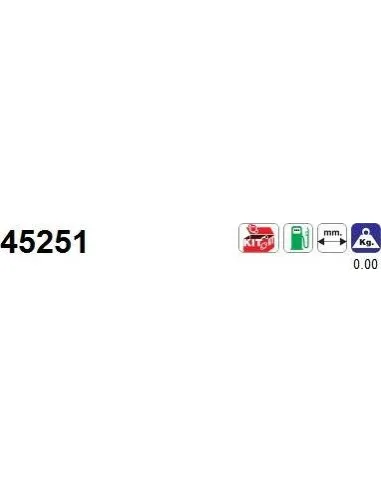 Módulo colector de admisión Hyundai / KIA 45251