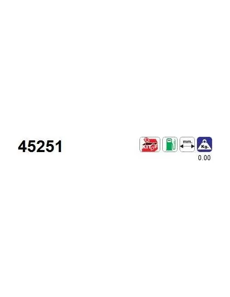 Módulo colector de admisión Hyundai / KIA 45251