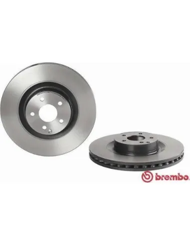 09.A817.21 Disco de freno Brembo