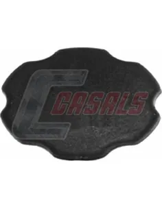 CASALS13100