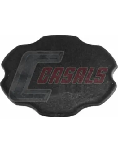CASALS13100