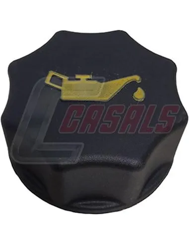 CASALS13104