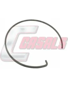 CASALS20127