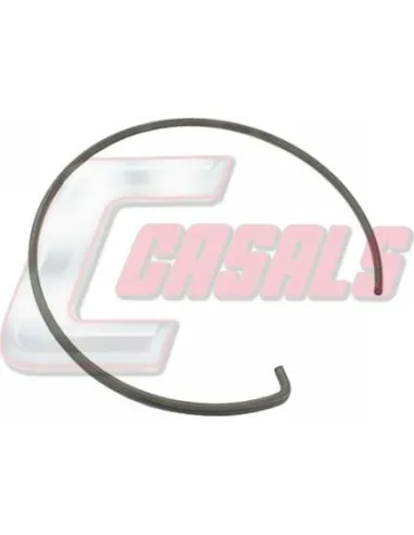 CASALS20127