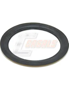 ARANDELA DE BUJE BPW