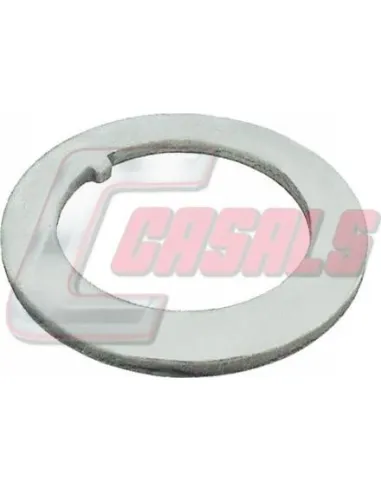 CASALS20301