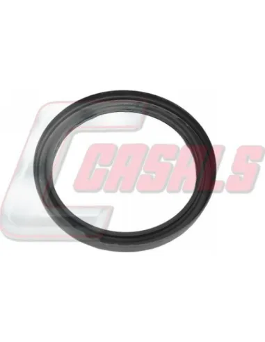 CASALS20318