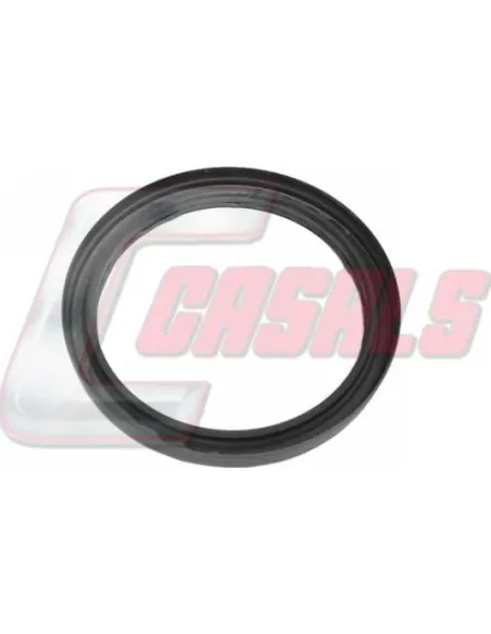 CASALS20318