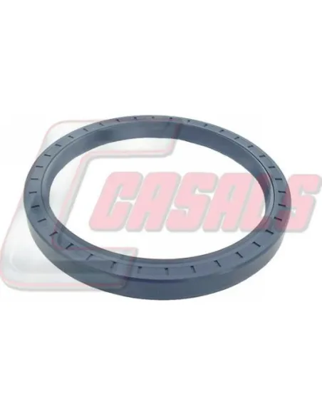 Tuerca de buje para IVECO, ILASA CASALS 20333