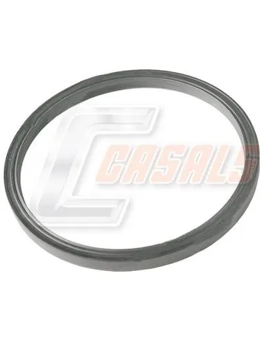 CASALS20364