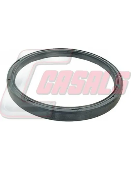 CASALS20409