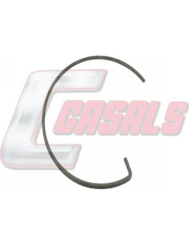 CASALS20419