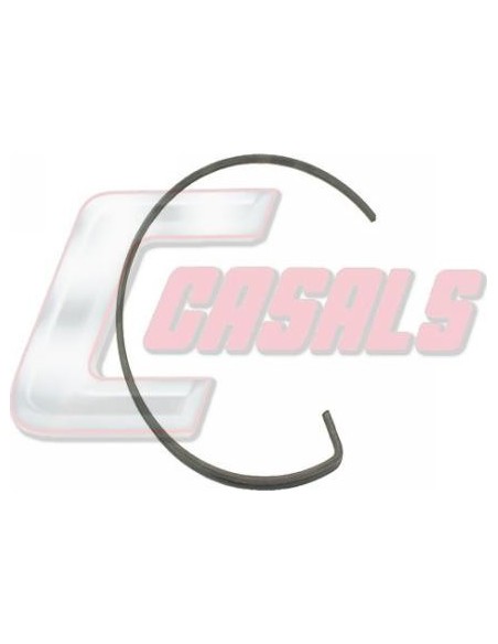 CASALS20419
