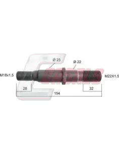 CASALS21117