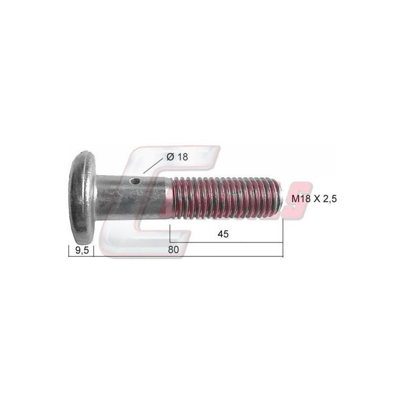 Tornillería de rueda CASALS 21128