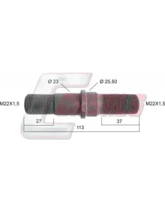 CASALS21134