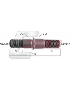 CASALS21135