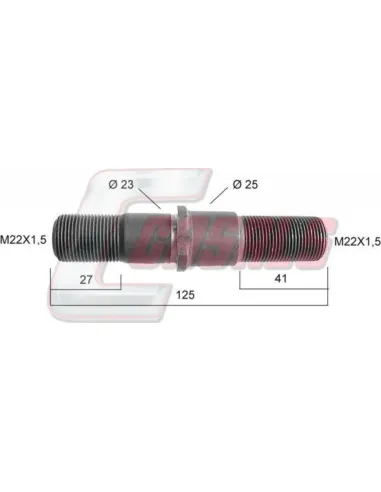 CASALS21135