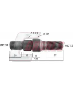 CASALS21142