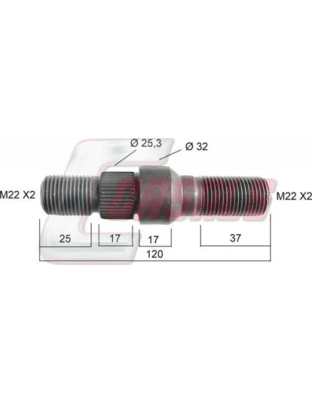 CASALS21142