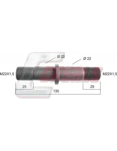 CASALS21146