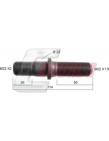CASALS21148