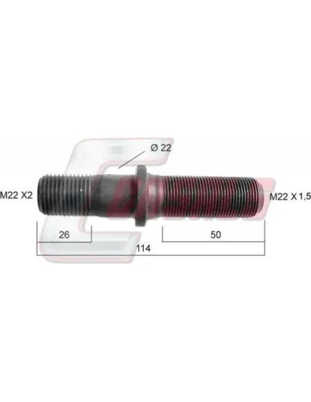 CASALS21148