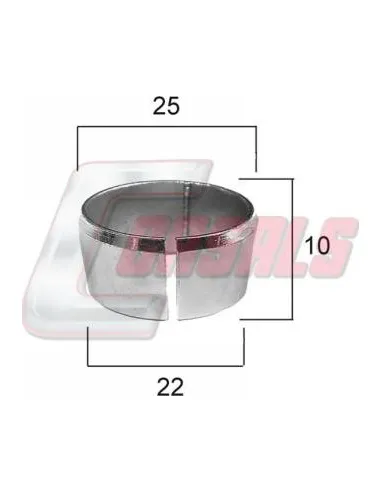 CASALS21154