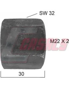 CASALS21157