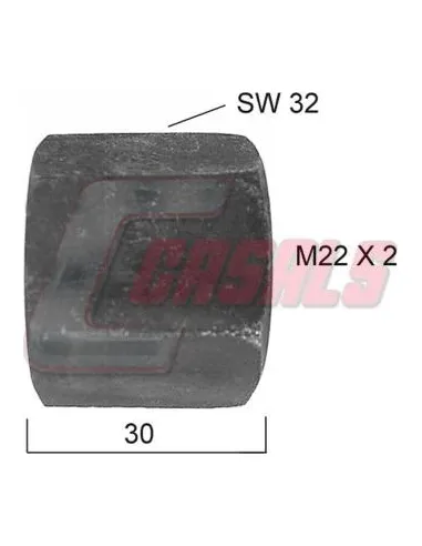 CASALS21157