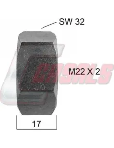 CASALS21159