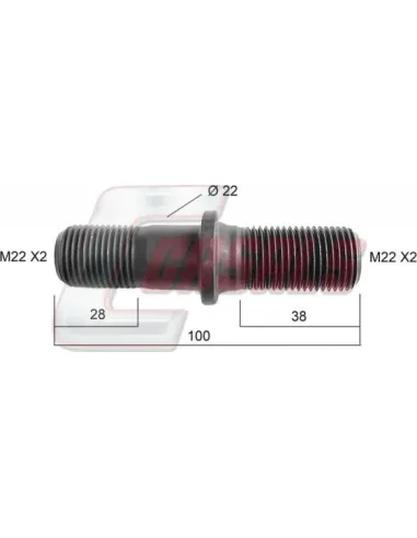 CASALS21160