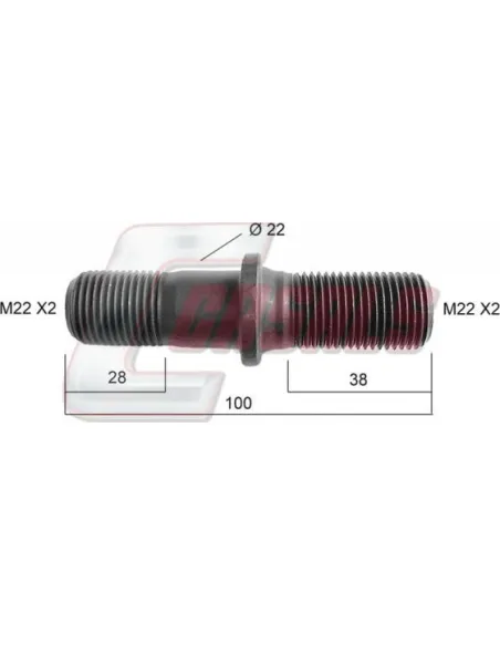 CASALS21160