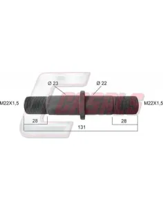 CASALS21182