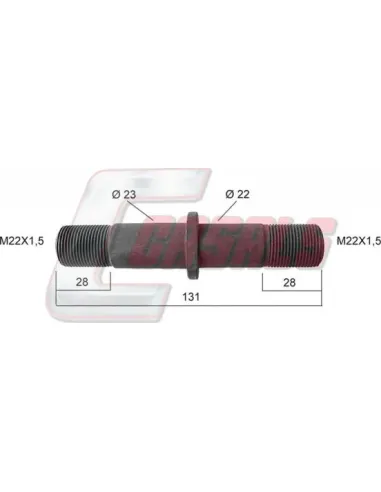 CASALS21182