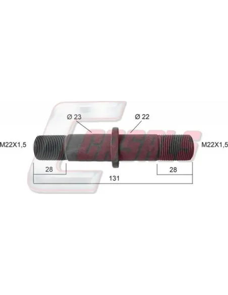 CASALS21182