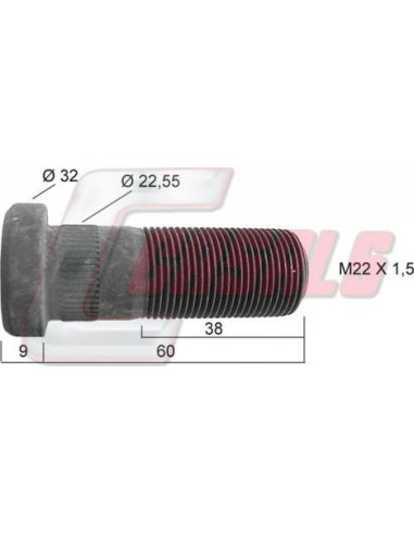 CASALS21207