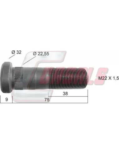 CASALS21210