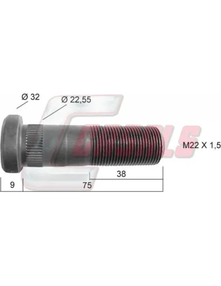 CASALS21210