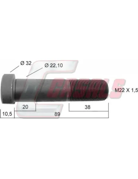 CASALS21225