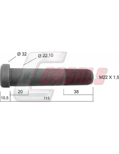 CASALS21231