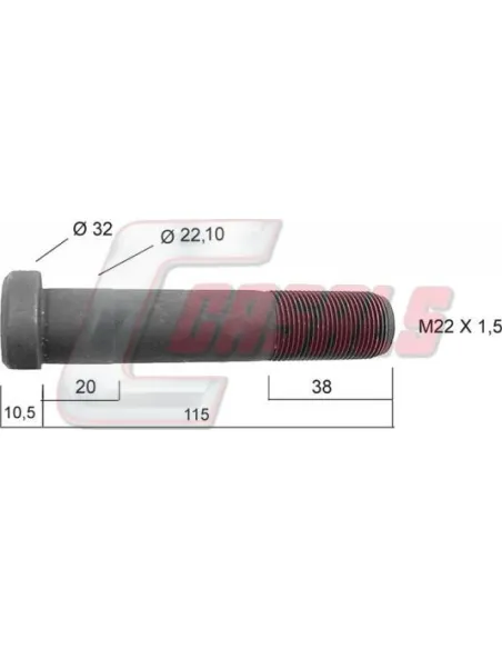 CASALS21231
