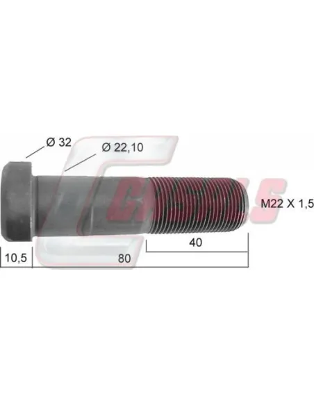 CASALS21239