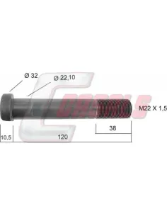 CASALS21241