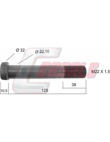 CASALS21242